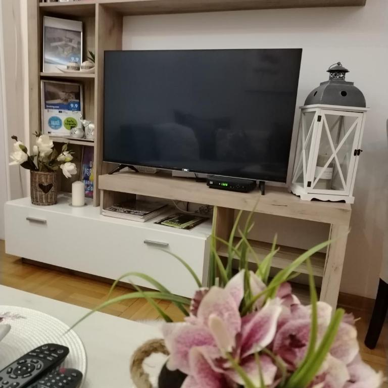 Apartman Harmonija Vrnjačka Banja - Apartman - 5