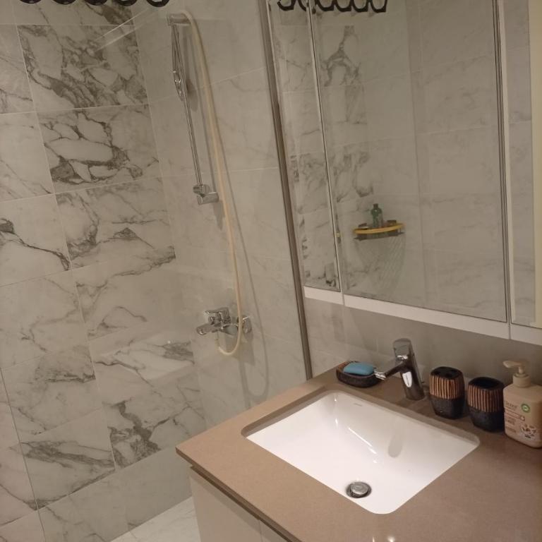 1 Beograd na Vodi Belgrade Waterfront posaljite poruku radi info o nacinu ulaska i preuzimanje kljuca - Apartman sa 1 Spavaćom Sobom - 12