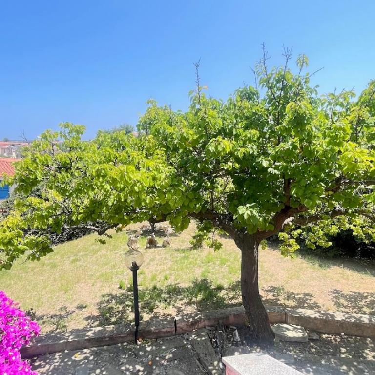 Citai Sea View House st4 - PuntoCasaBudoni - Appartamento con 2 Camere da Letto e Vista Mare - 44