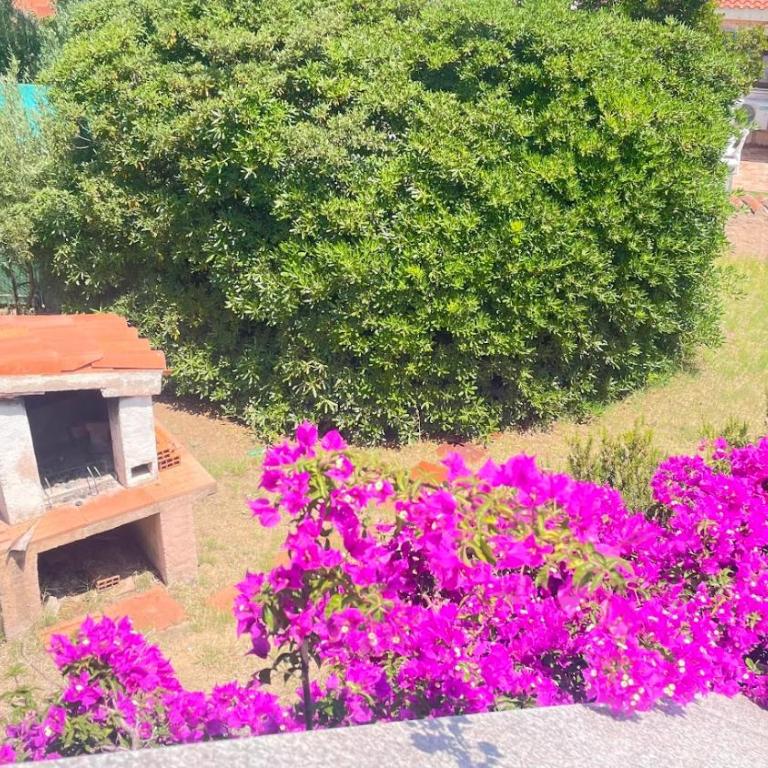 Citai Sea View House st4 - PuntoCasaBudoni - Appartamento con 2 Camere da Letto e Vista Mare - 45