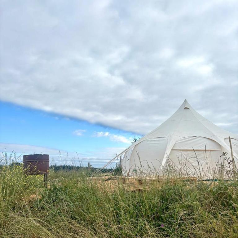 Olas de Chile Ecocamp - Tent - 3