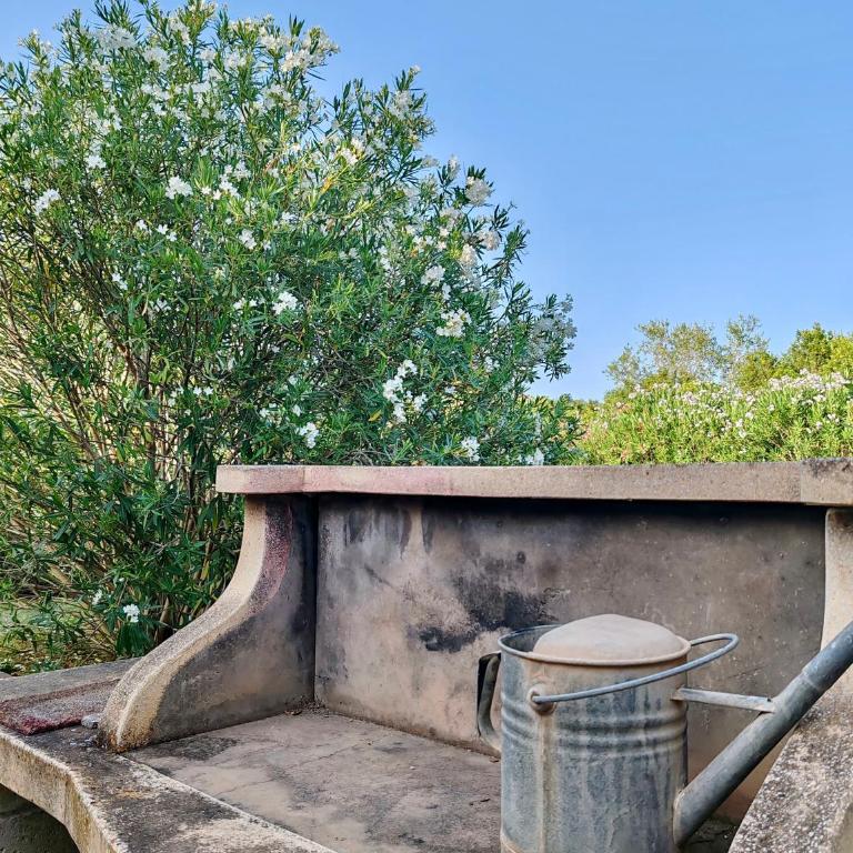 Charming Cottage with Private Garden near Nora & Chia - Villa - 33