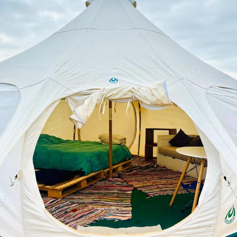 Olas de Chile Ecocamp - Tent - 1