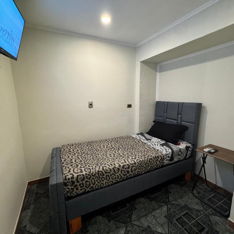 Residencial Don Santiago - Single Room with Private Bathroom - 1