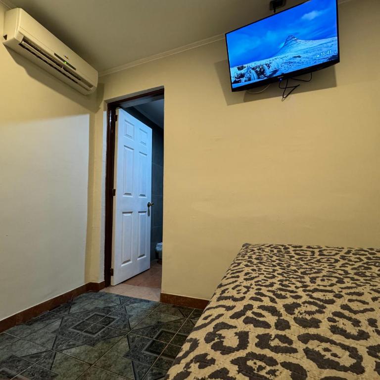 Residencial Don Santiago - Single Room with Private Bathroom - 2
