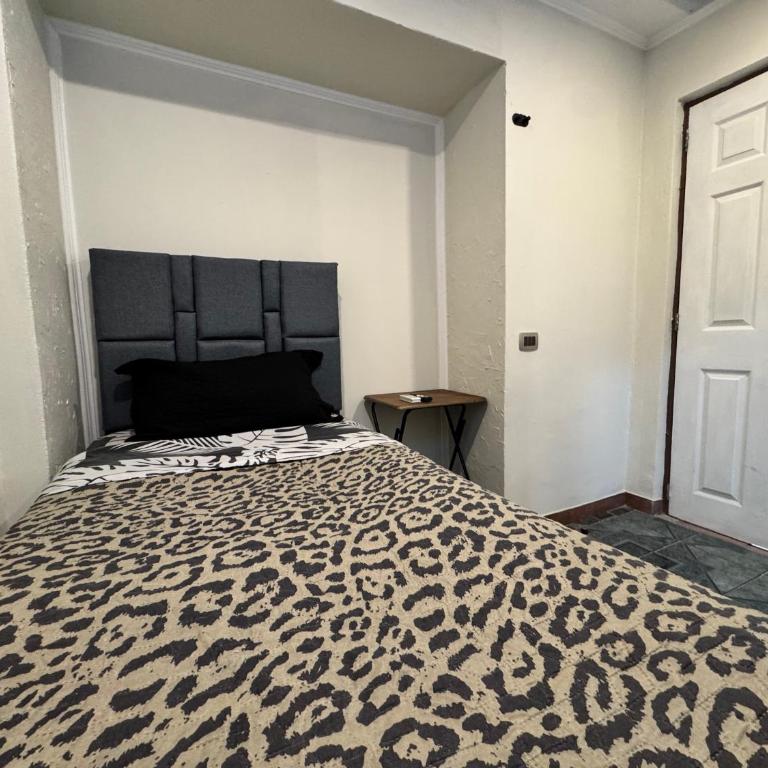 Residencial Don Santiago - Single Room with Private Bathroom - 5