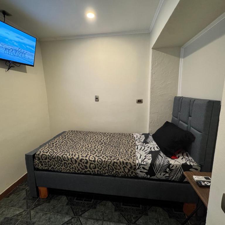 Residencial Don Santiago - Single Room with Private Bathroom - 6