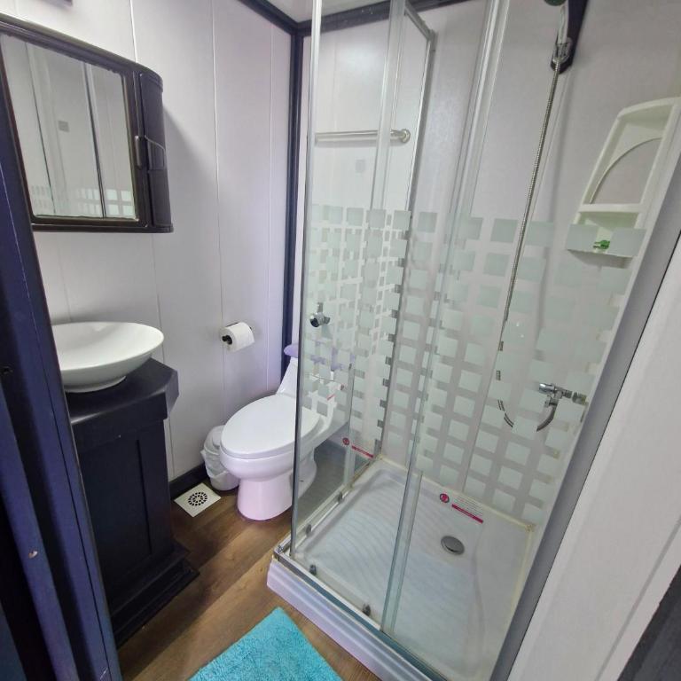 Wildepartamentos Valdivia TM - Apartment - 2