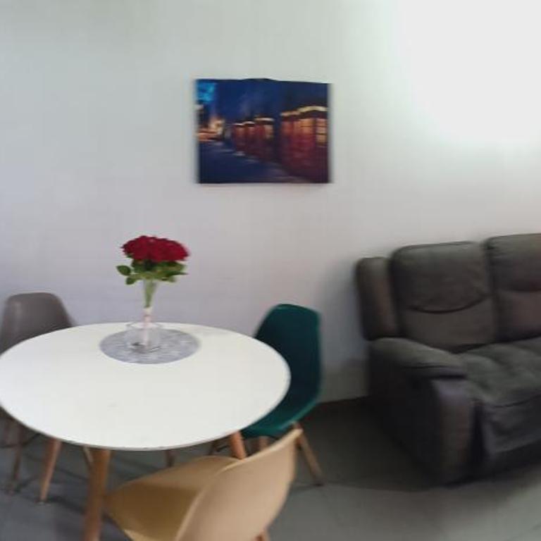Amoblados lindos departamentos en el centro - Two-Bedroom Apartment - 7