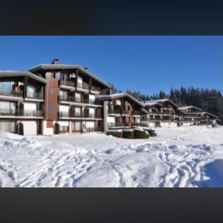 Studio montagne - Appartement 1 Chambre - 7