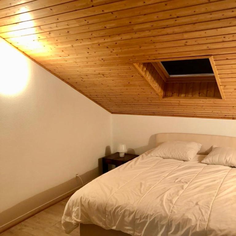 Maison familiale avec jardin, Biscarrosse lac à pied - Maison 3 Chambres - 12