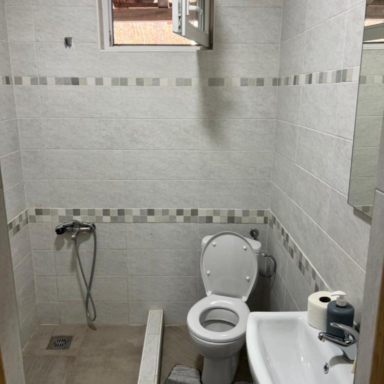 Bandici house - Two-Bedroom Apartment - 11
