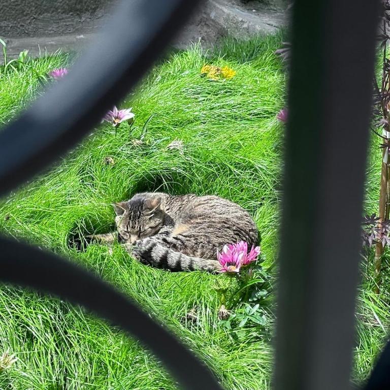 Suite Top 14 - One-Bedroom Apartment - 25