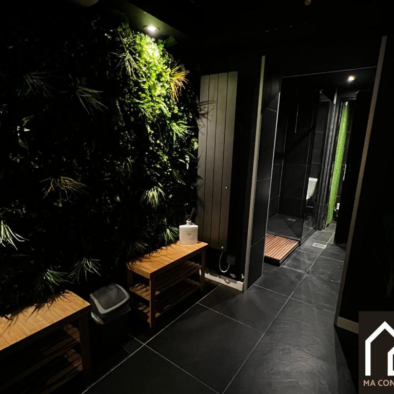 Appart Hotel Le bras D'or - SPA et petit dejeuner - Studio Lit King-Size - 6
