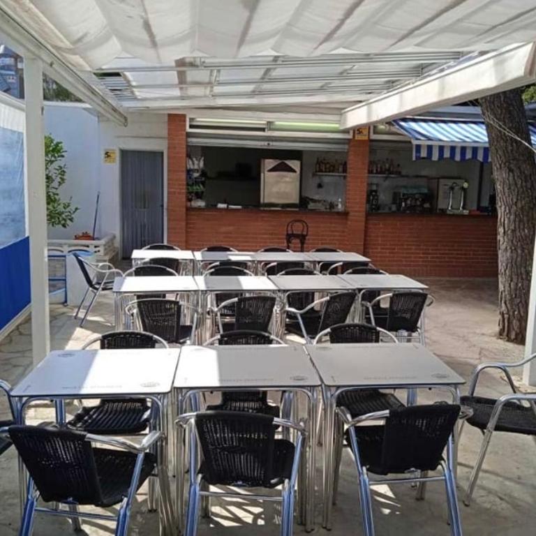 Primera línea mar, piscina, pádel, tenis, bbq, 55,seafront - Apartamento - 34