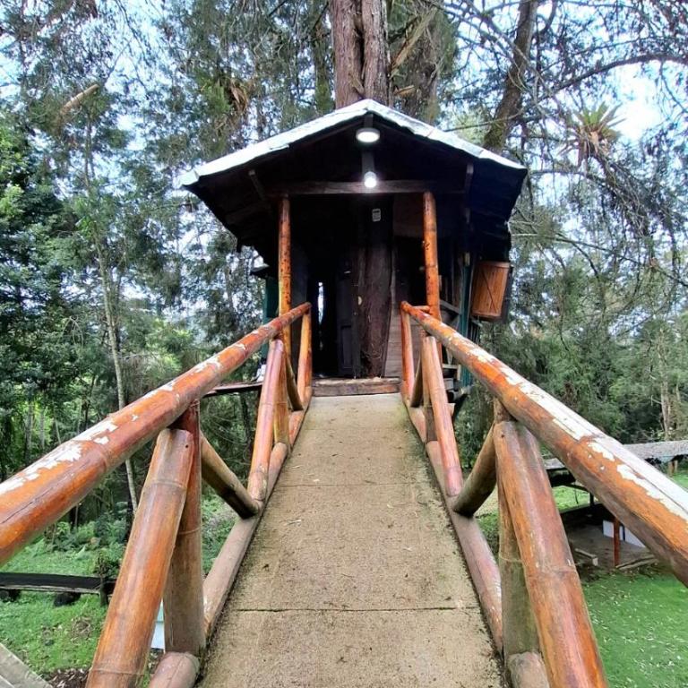 Refugio en el Árbol - Apartamento de 1 dormitorio - 4