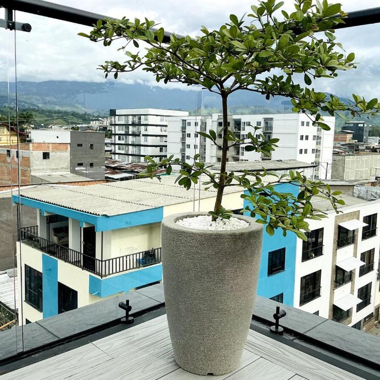 Penthouse con jacuzzi y vistas en Santa Rosa - Three-Bedroom Apartment - 35
