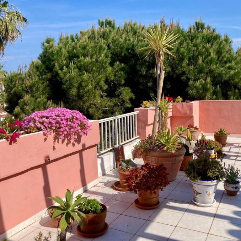 Ático en Denia con aire acondicionado y parking privado - ES-373-16 - Apartamento - 17