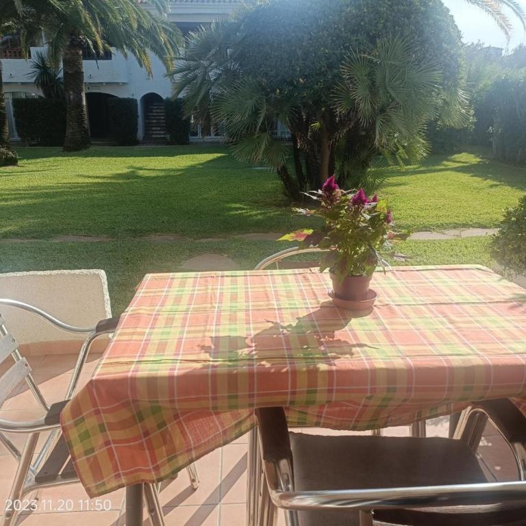 Apartamento frente al mar con terraza y vista al jardín - ES-373-26 - Apartamento - 11