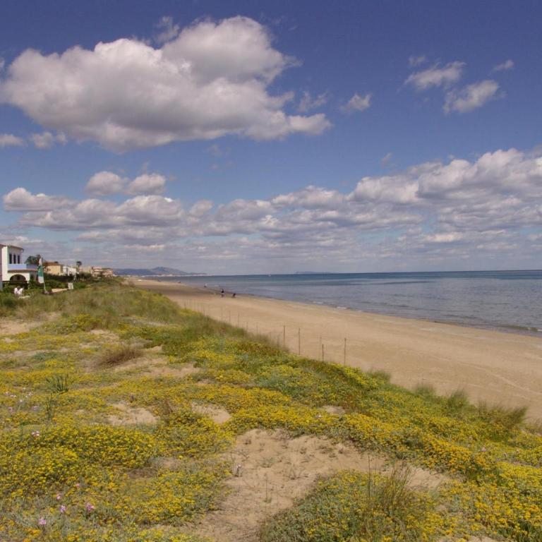 Apartamento frente al mar con terraza y vista al jardín - ES-373-26 - Apartamento - 15