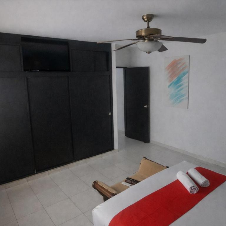 QuillaHost Tropical Apartment - Apartamento de 1 dormitorio - 36