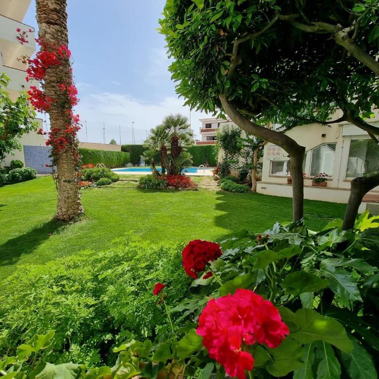 Apartamento cómodo con terraza a 200 m de la playa - HISP-236-176 - Apartment - 21