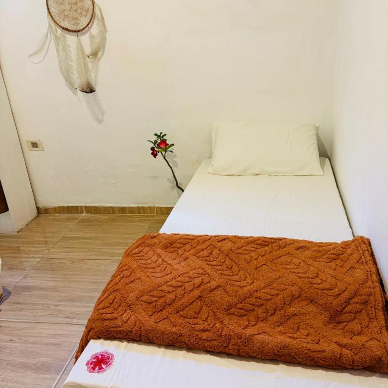 Padma - Mixed Dormitory Room - 2