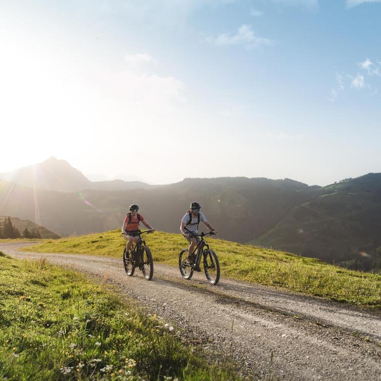 AlpenNest Kirchberg -Ruhige Lage in den Alpen - Apartment mit 1 Schlafzimmer - 10