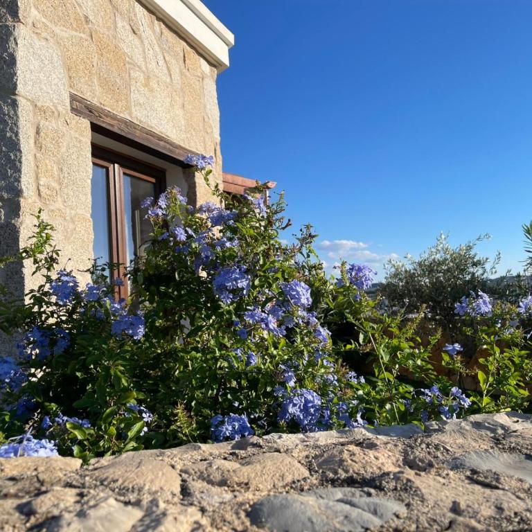 Alghero Vacation Rentals Pedra Mea - Villa con 2 Camere da Letto - 2