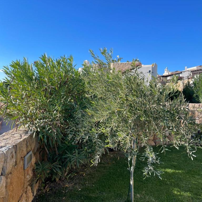 Alghero Vacation Rentals Pedra Mea - Villa con 2 Camere da Letto - 6