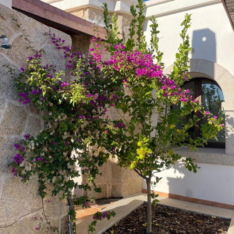 Alghero Vacation Rentals Pedra Mea - Villa con 2 Camere da Letto - 7