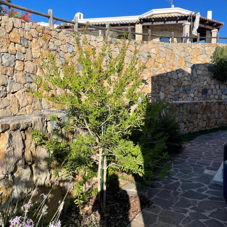 Alghero Vacation Rentals Pedra Mea - Villa con 2 Camere da Letto - 16