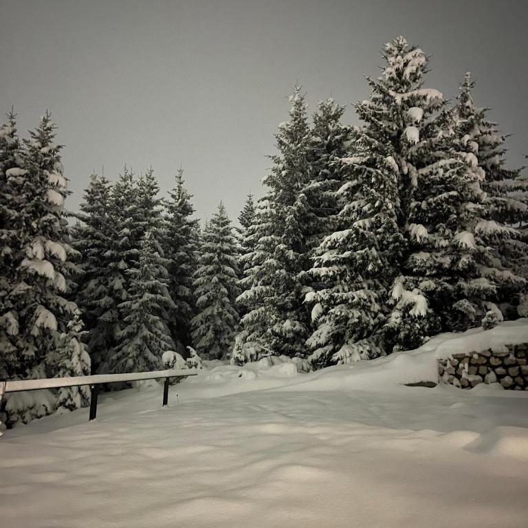 Vila Tea Durmitor - Chalet - 4