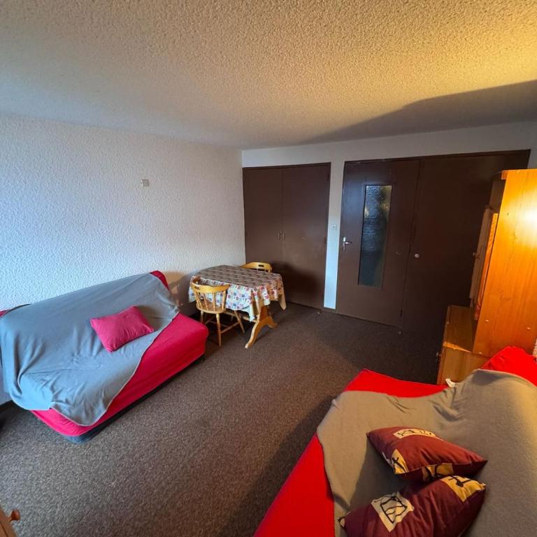 Studio aux pieds des pistes - Appartement 1 Chambre - 4