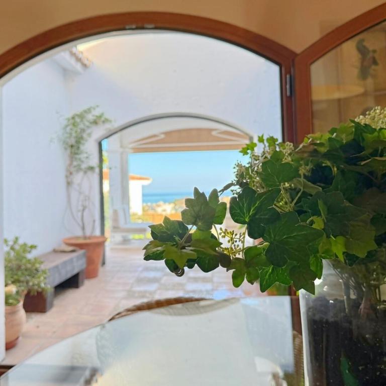 La Jara Andaluza - Villa con Piscina - Benalmádena - Villa - 8