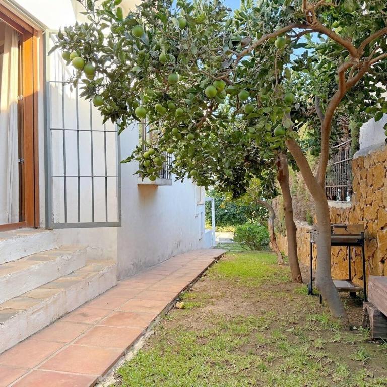 La Jara Andaluza - Villa con Piscina - Benalmádena - Villa - 28