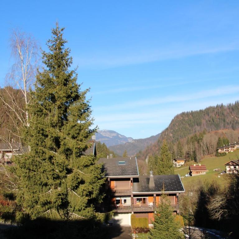 appartement pieds des pistes - Two-Bedroom Apartment - 12