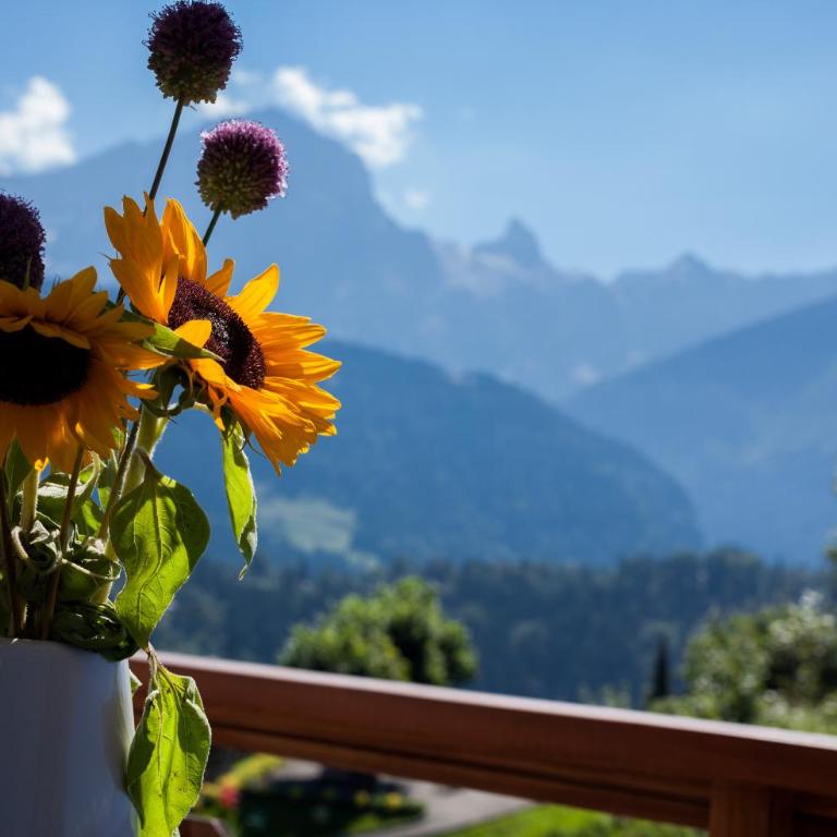 Le Bristol - Villars Bristol Apartments - Studio für 2-3 Personen mit Aussicht und Balkon 344C - 4