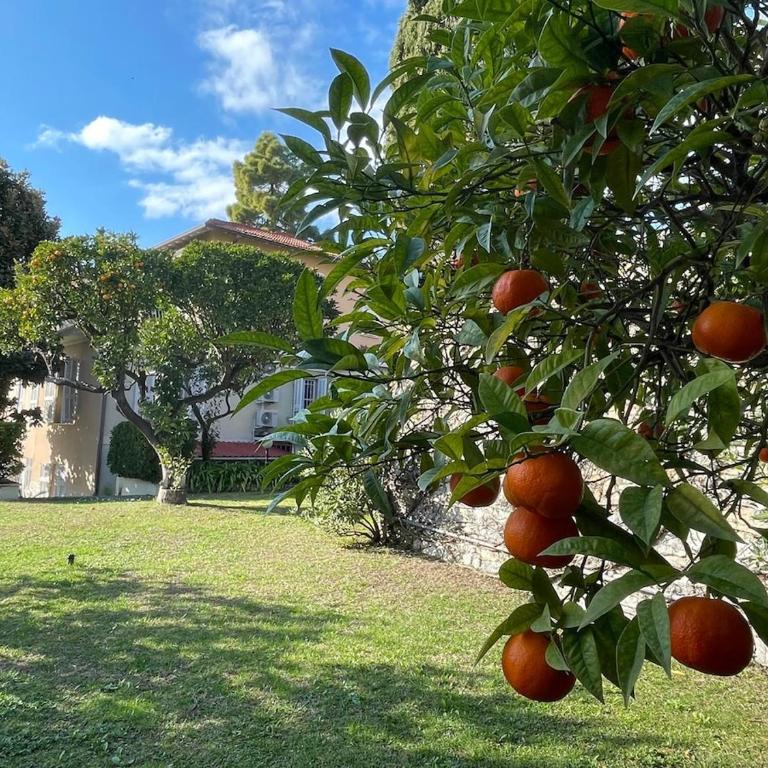 Casa Alice - Tranquilla Casa con Giardino - Casa con 2 Camere da Letto - 18