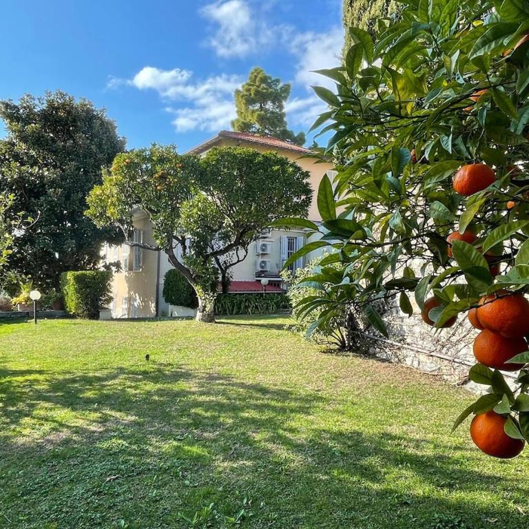 Casa Alice - Tranquilla Casa con Giardino - Casa con 2 Camere da Letto - 1