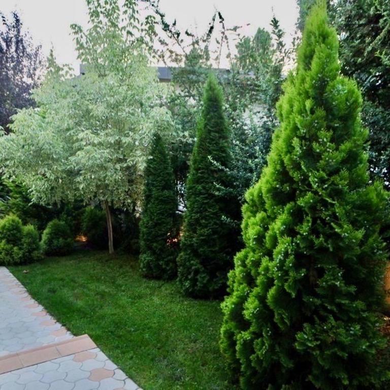Private Pool Villa - One Group Only - Full Privacy - Garden & BBQ - Vila - 48