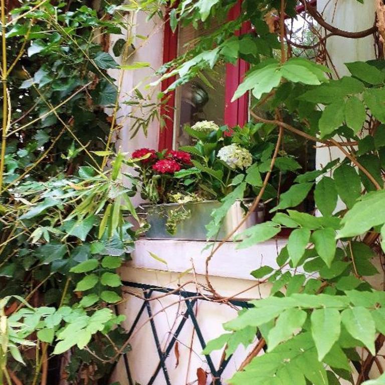 Le nichoir aux oiseaux - Maisonnette - 5