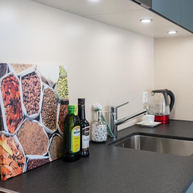 BetweenLakes Apartment ground fl - Appartement 1 Chambre - 18