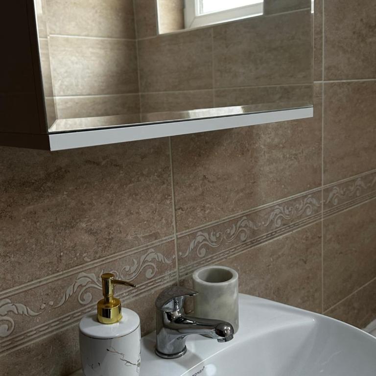 Apartman u centru Niša - One-Bedroom Apartment - 12