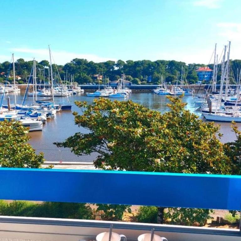 Au cœur du port de Capbreton studio confort - One-Bedroom Apartment with View - 17
