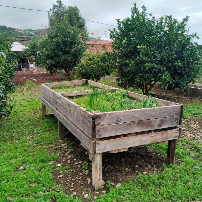 Los Huertos Conect with the nature & relax - Casa de 2 dormitorios - 54