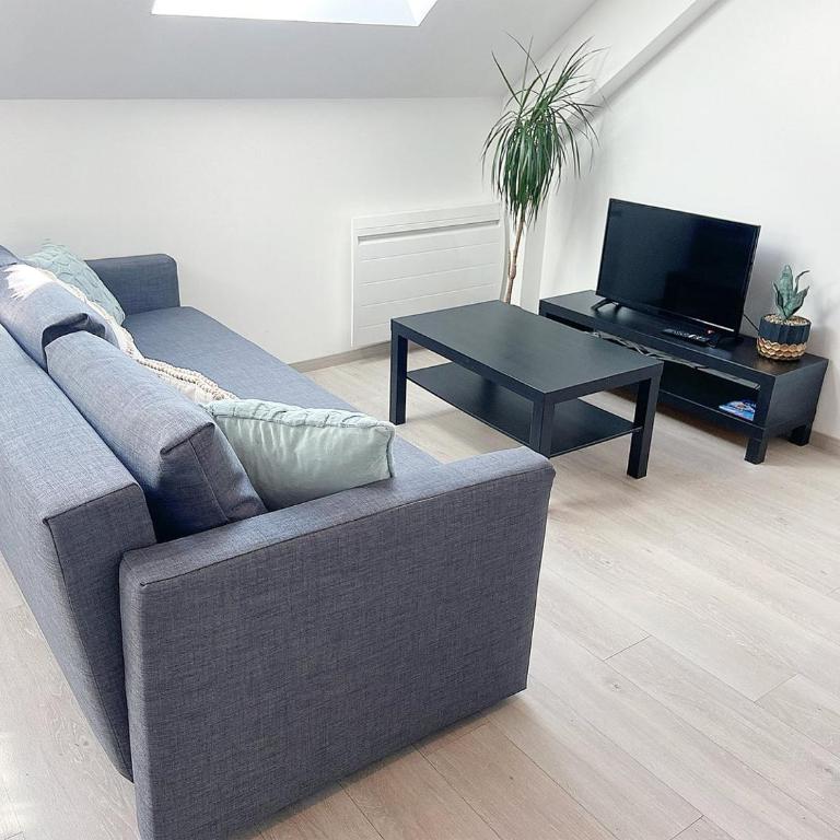 Le Moisson, centre ville, Wifi, Netflix - Apartamento - 17