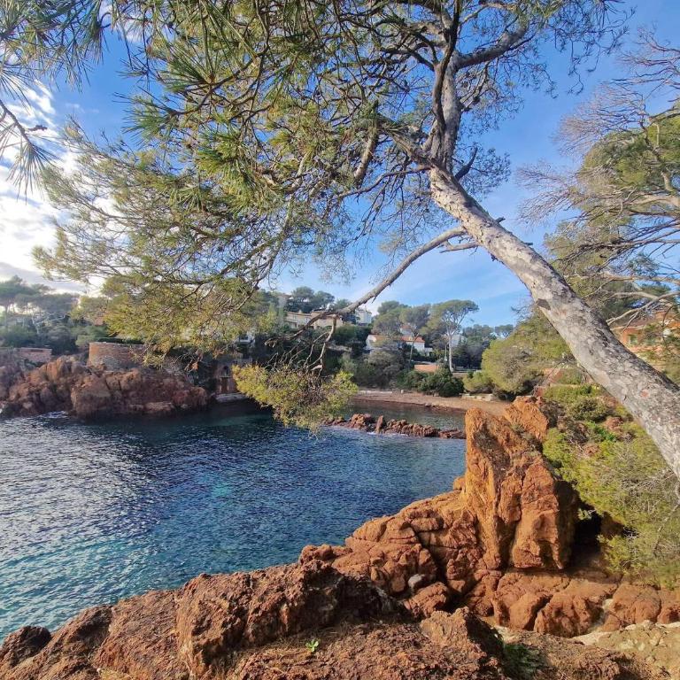 SR310-B13 Appt 3 pièces 6 personnes - SAINT RAPHAËL - Apartment mit 2 Schlafzimmern - 25