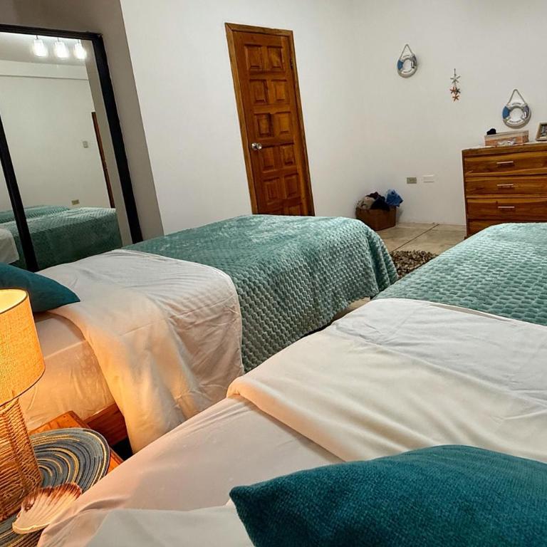 Posada del Sol - Twin Room - 2
