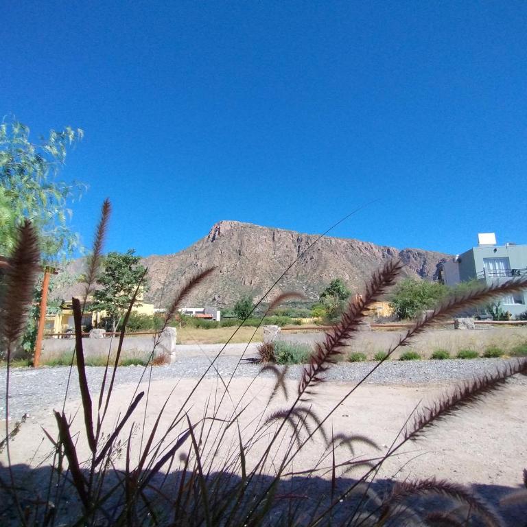 El Aromo Cafayate - Casa de 2 dormitorios - 4